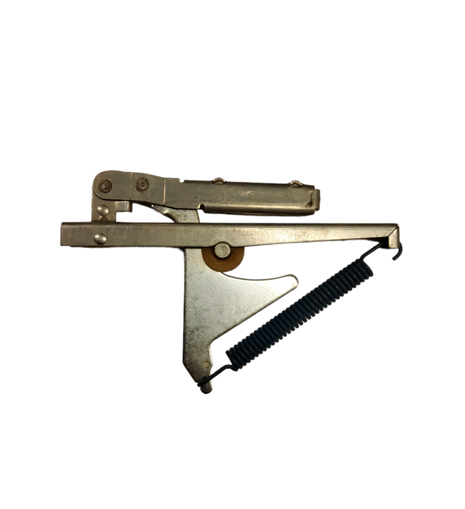 HINGE DOOR: 74011475